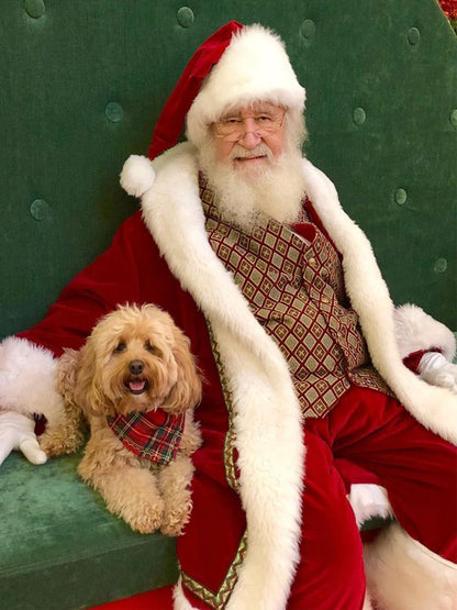 Christmas Bad Santa Claus Red Velvet Winter Coat Christmas Sale
